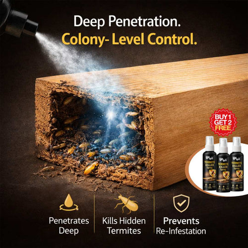Termite Killer Spray | BUY 1 GET 2 FREE!